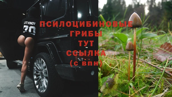 кокс Володарск