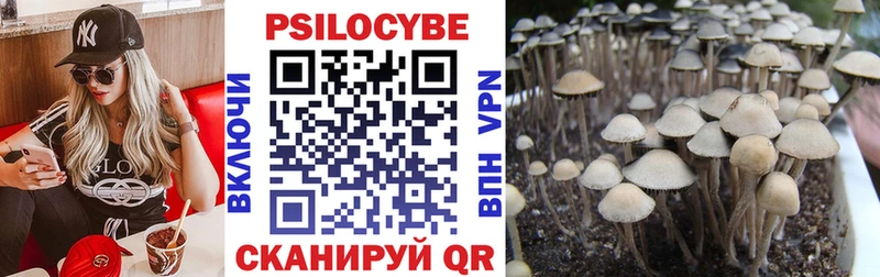 Псилоцибиновые грибы мицелий  mega ССЫЛКА  Снежинск  купить наркотики сайты 